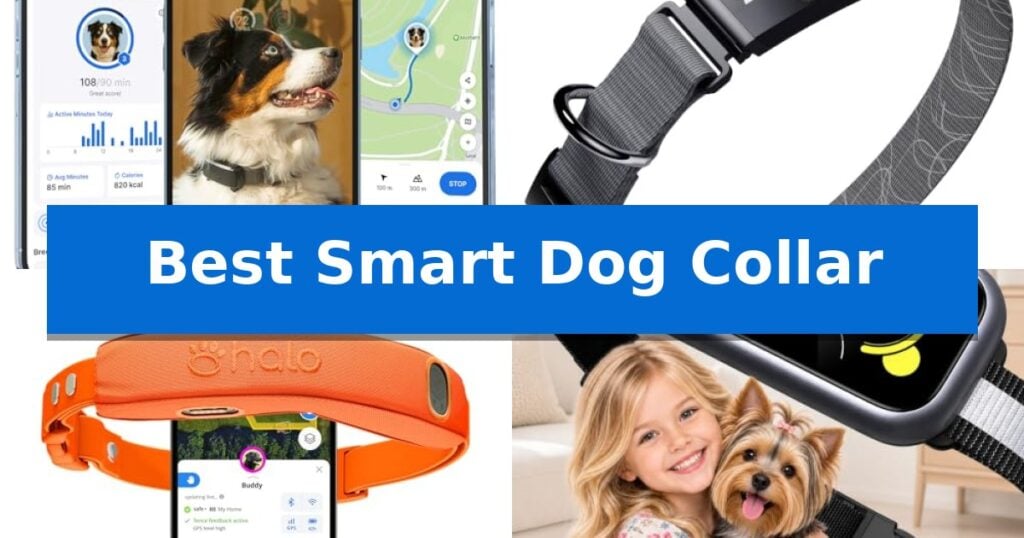 Best Smart Dog Collar