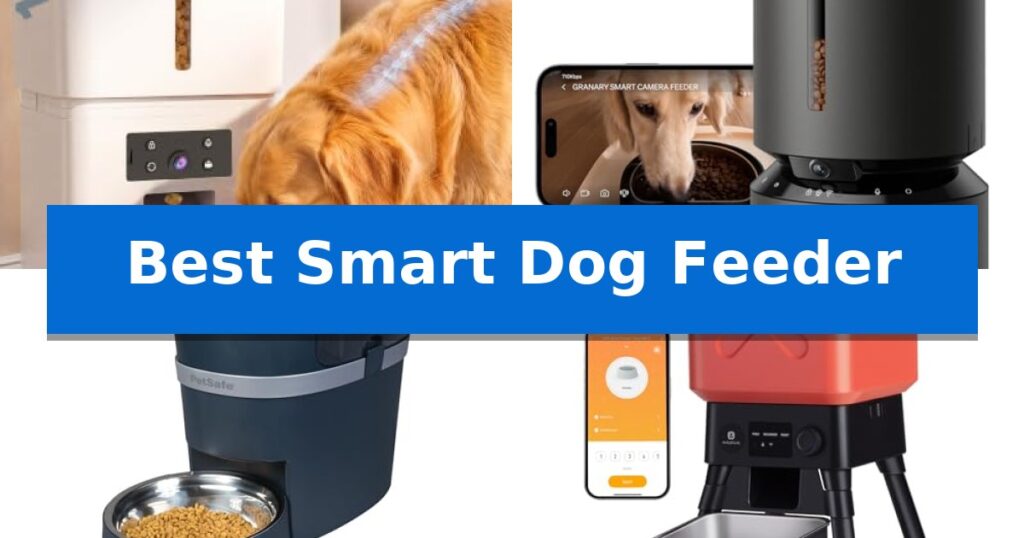 Best Smart Dog Feeder