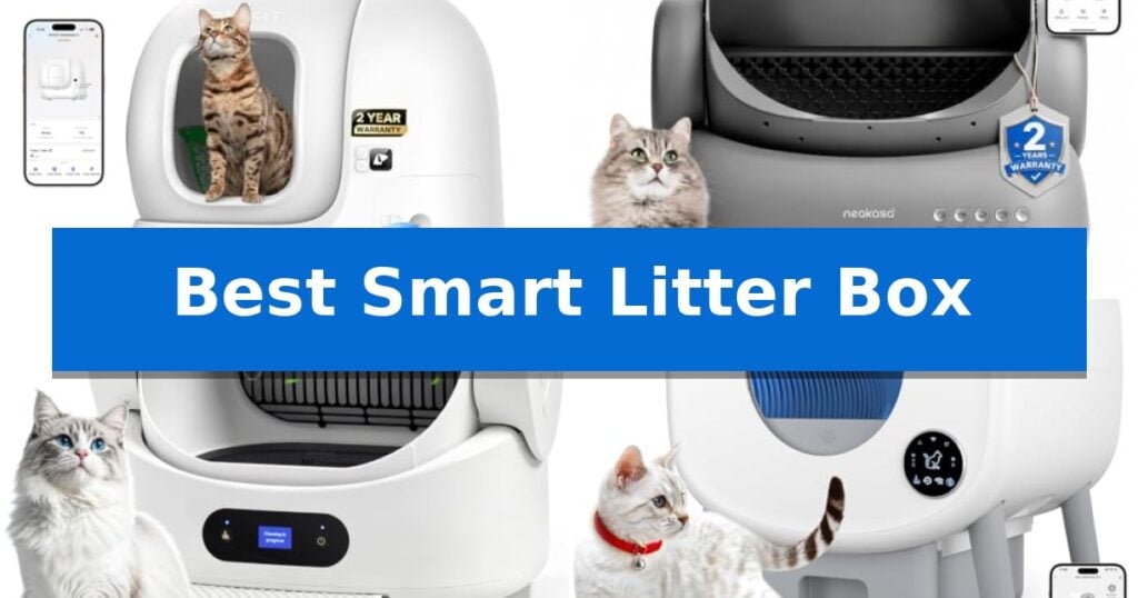 Best Smart Litter Box