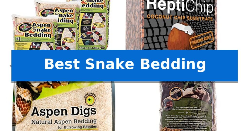 Best Snake Bedding