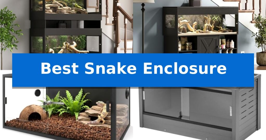 Best Snake Enclosure