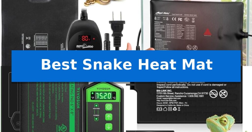 Best Snake Heat Mat