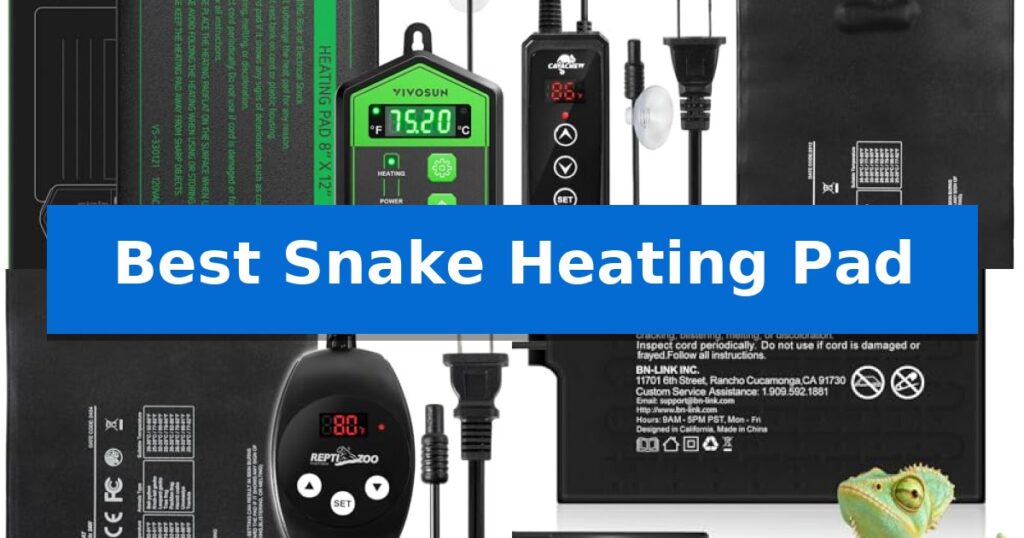 Best Snake Heating Pad