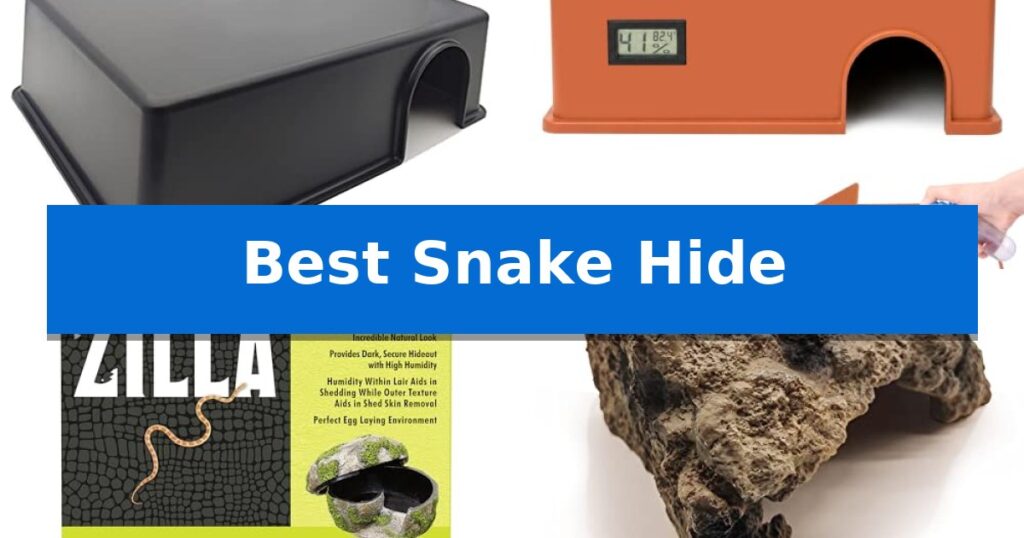 Best Snake Hide