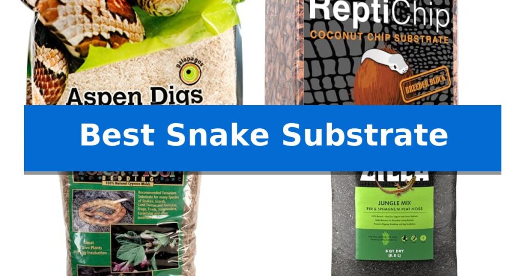 Best Snake Substrate