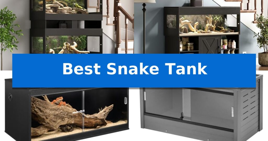 Best Snake Tank