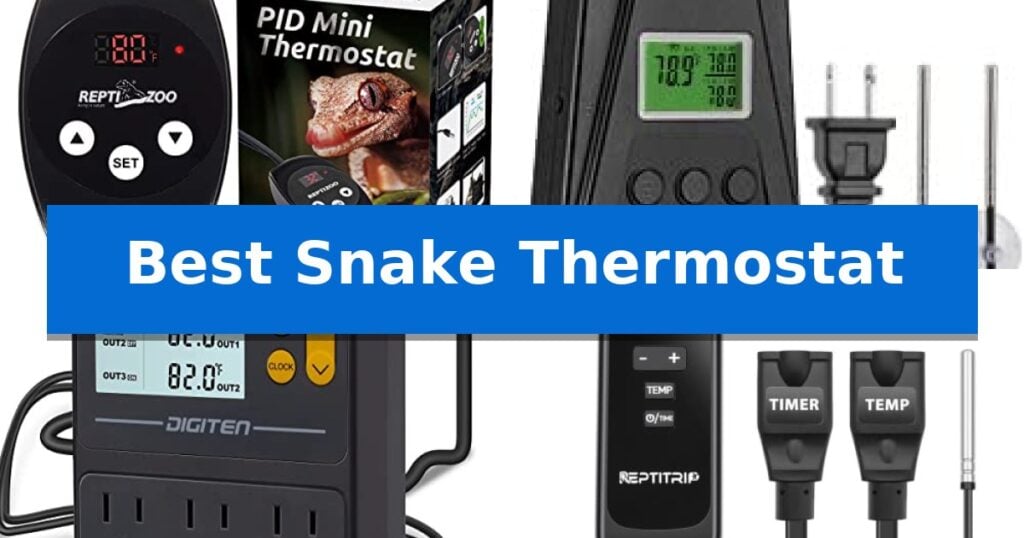 Best Snake Thermostat