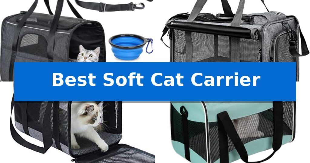 Best Soft Cat Carrier