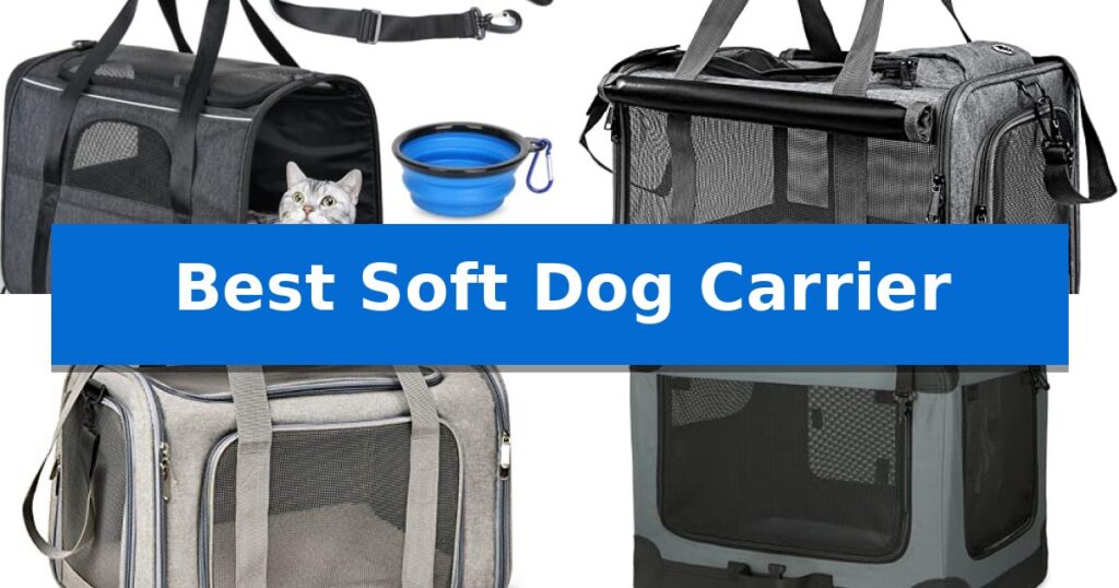 Best Soft Dog Carrier