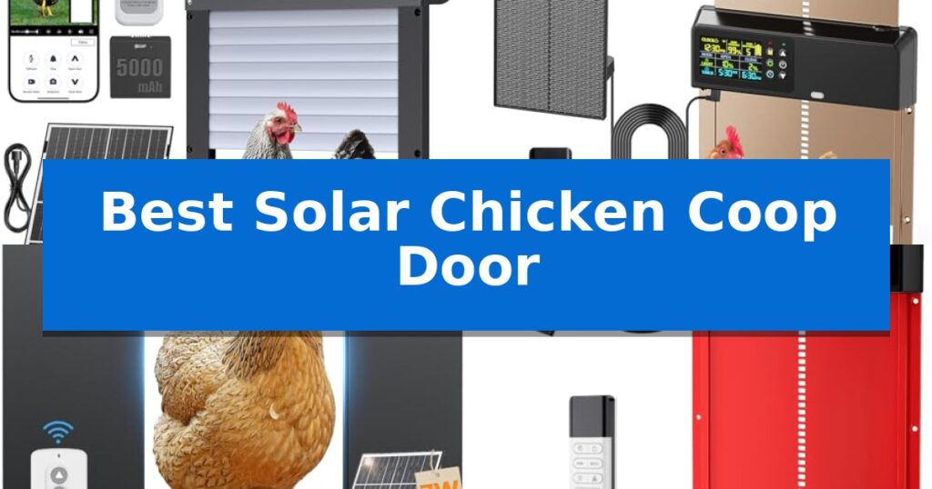 Best Solar Chicken Coop Door