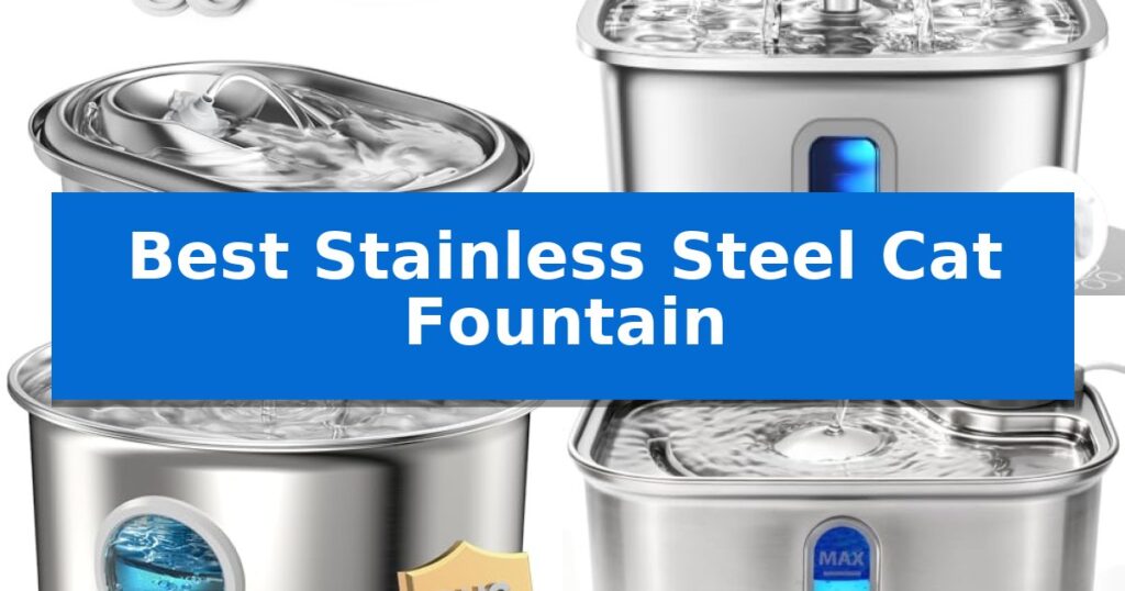 Best Stainless Steel Cat Fountain