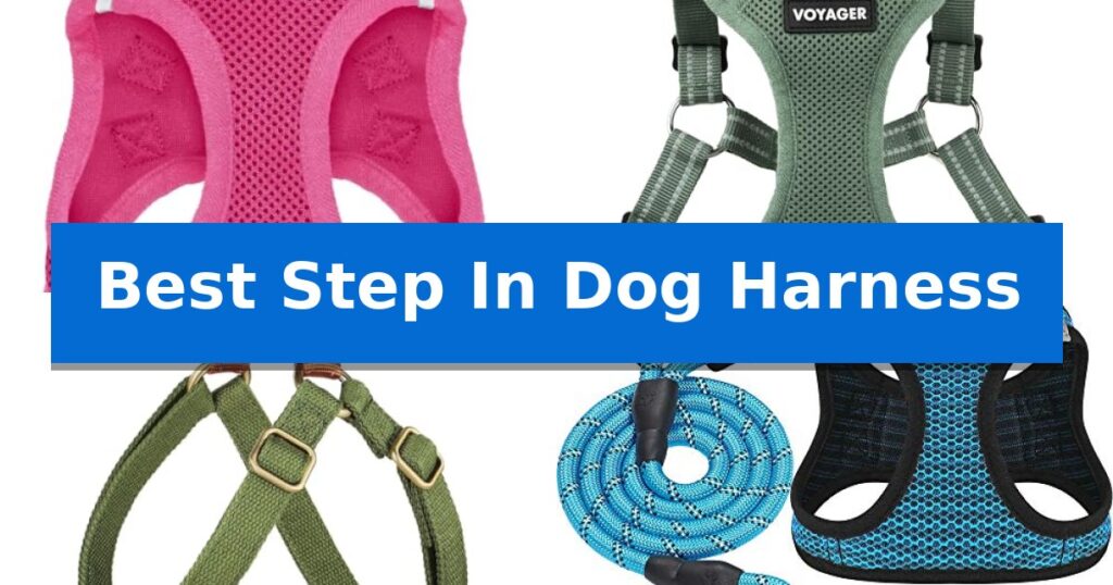 Best Step In Dog Harness