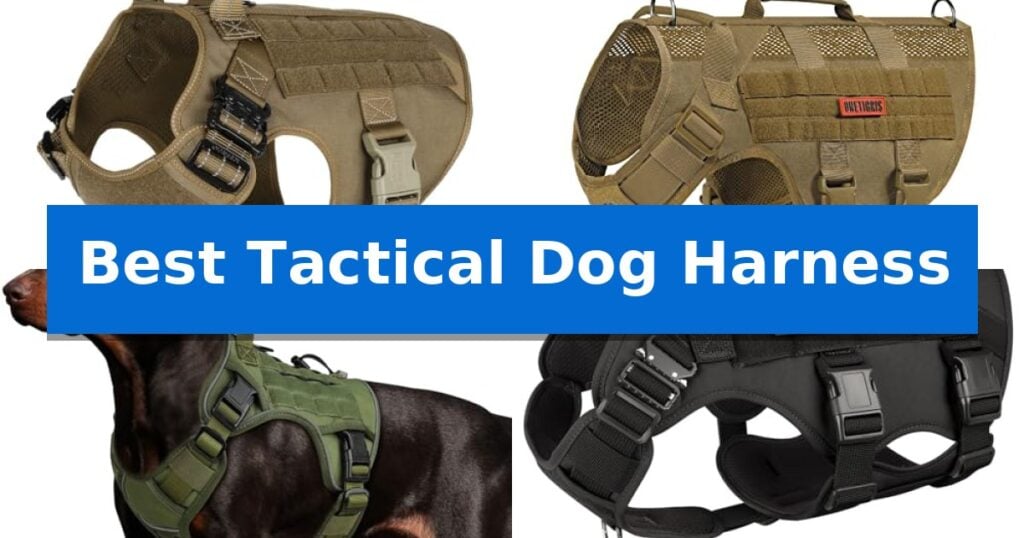 Best Tactical Dog Harness