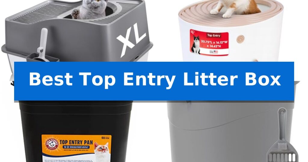 Best Top Entry Litter Box