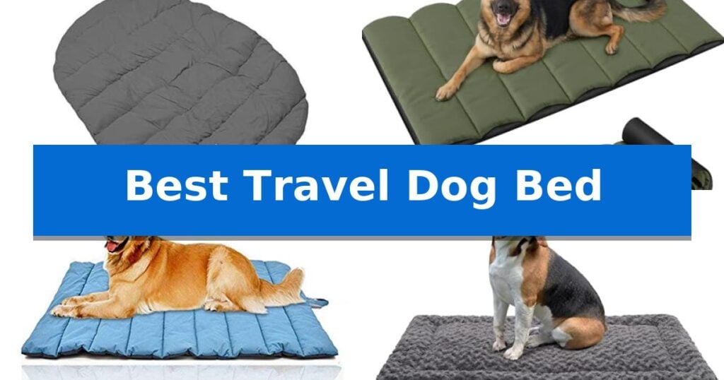 Best Travel Dog Bed
