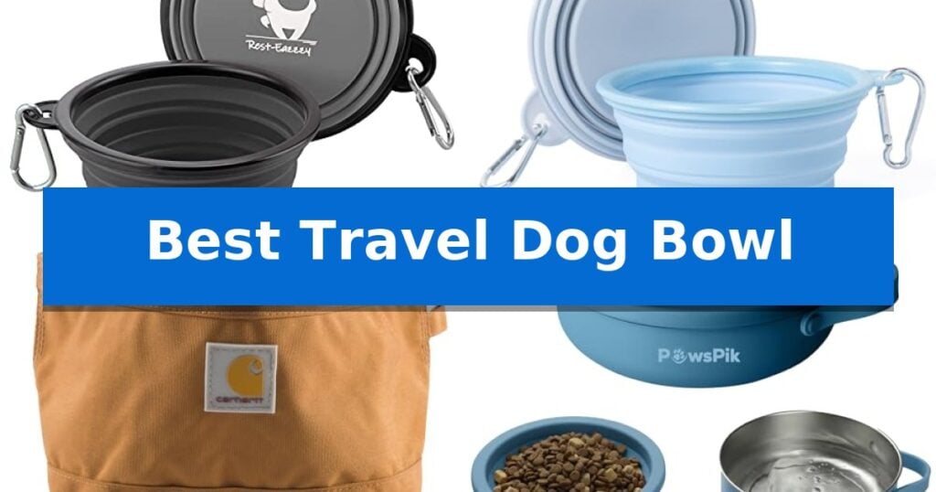 Best Travel Dog Bowl