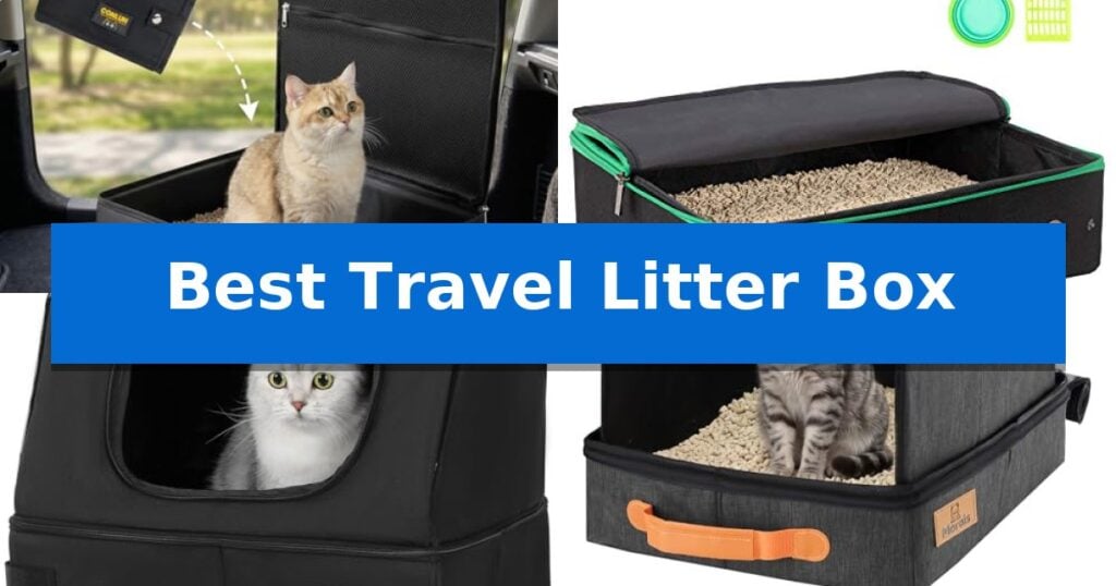 Best Travel Litter Box