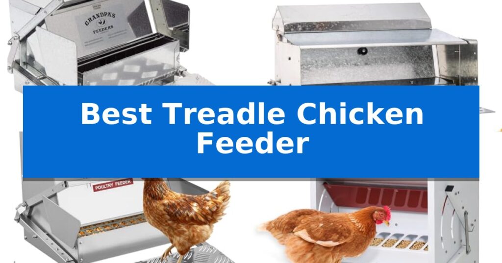 Best Treadle Chicken Feeder