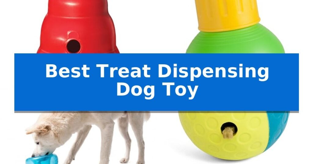 Best Treat Dispensing Dog Toy