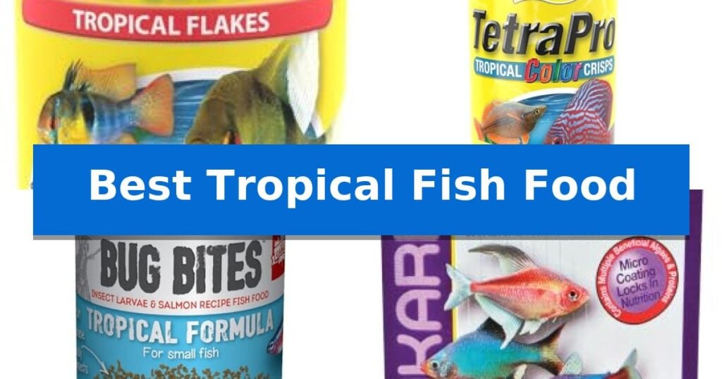 Best Tropical Fish Food