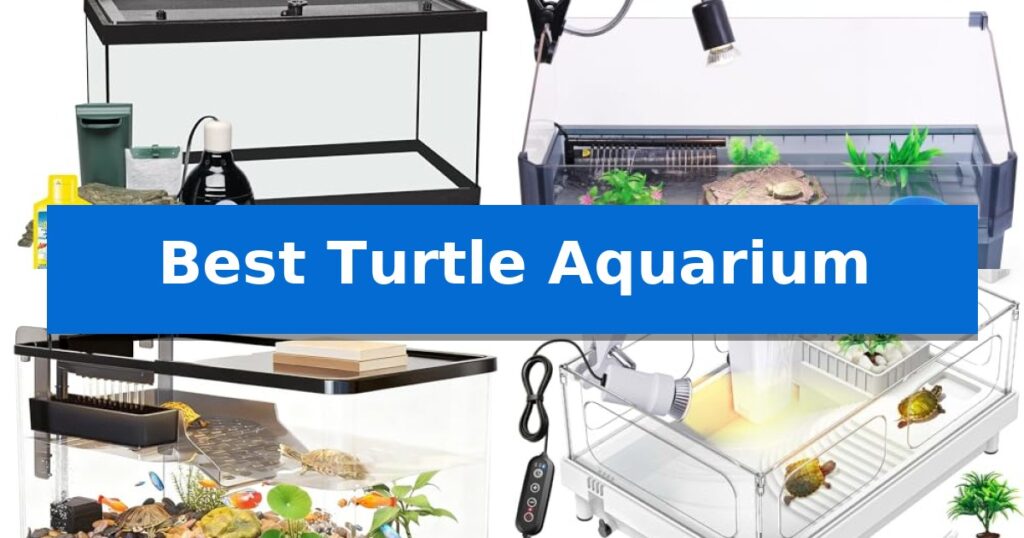 Best Turtle Aquarium