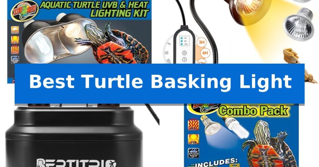Best Turtle Basking Light