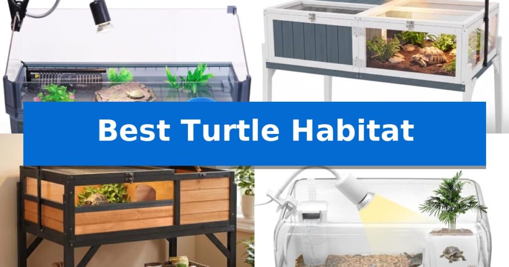 Best Turtle Habitat