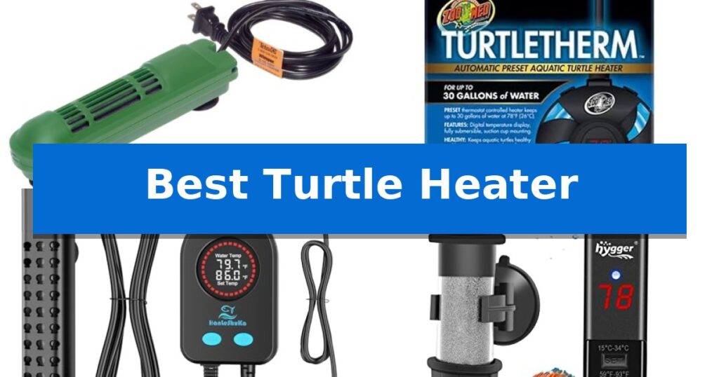 Best Turtle Heater