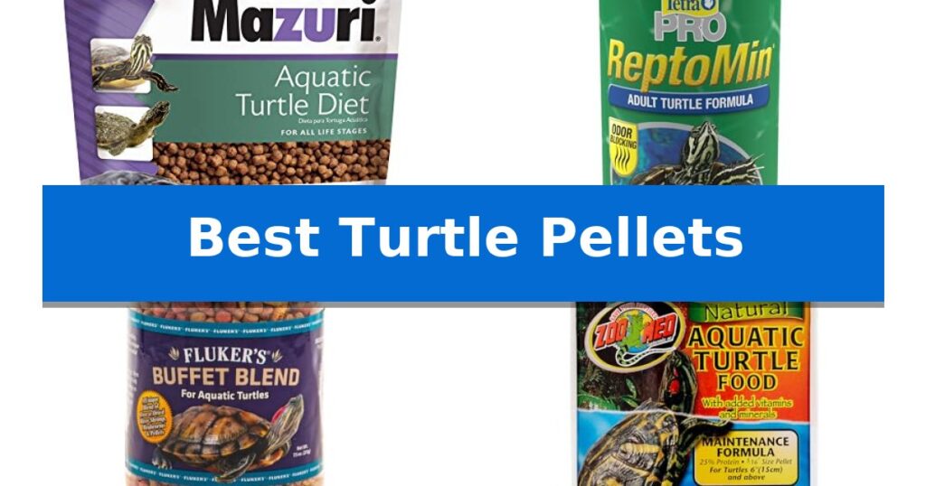 Best Turtle Pellets