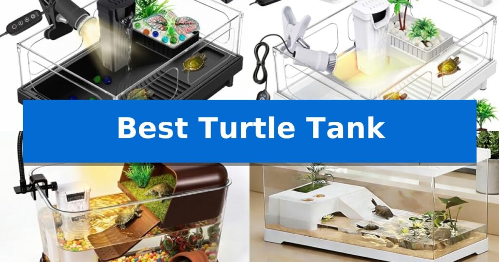 Best Turtle Tank