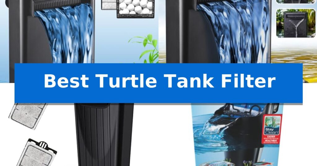 Best Turtle Tank Filter