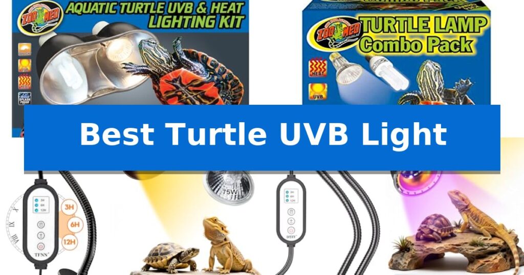 Best Turtle UVB Light