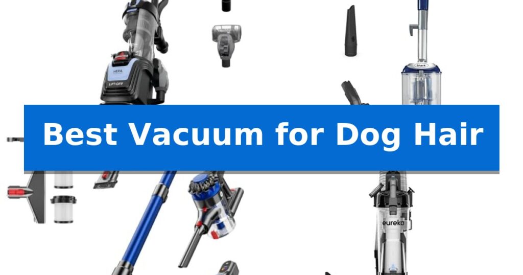Best Vacuum for Dog Hair