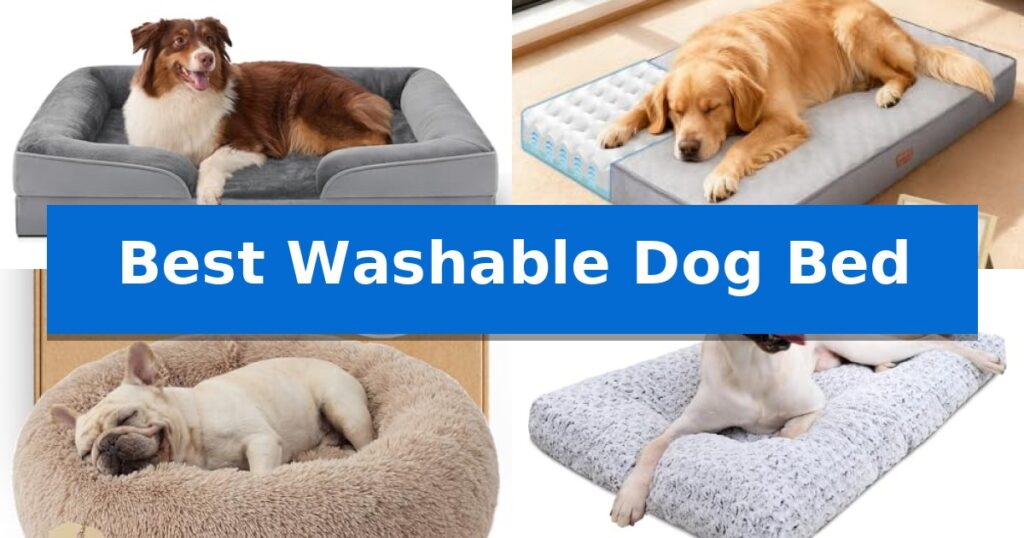 Best Washable Dog Bed