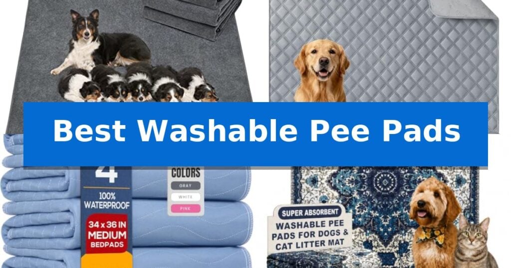 Best Washable Pee Pads