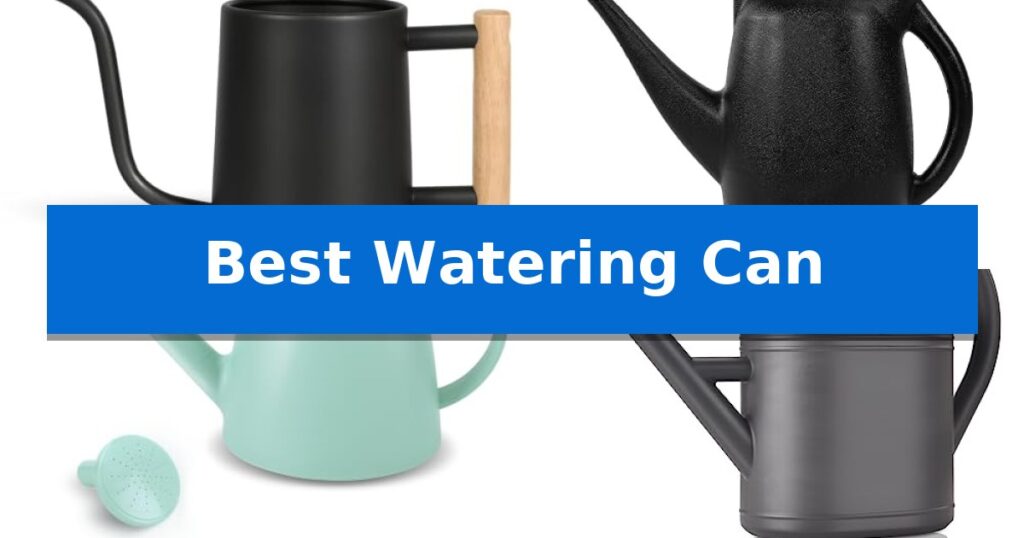 Best Watering Can