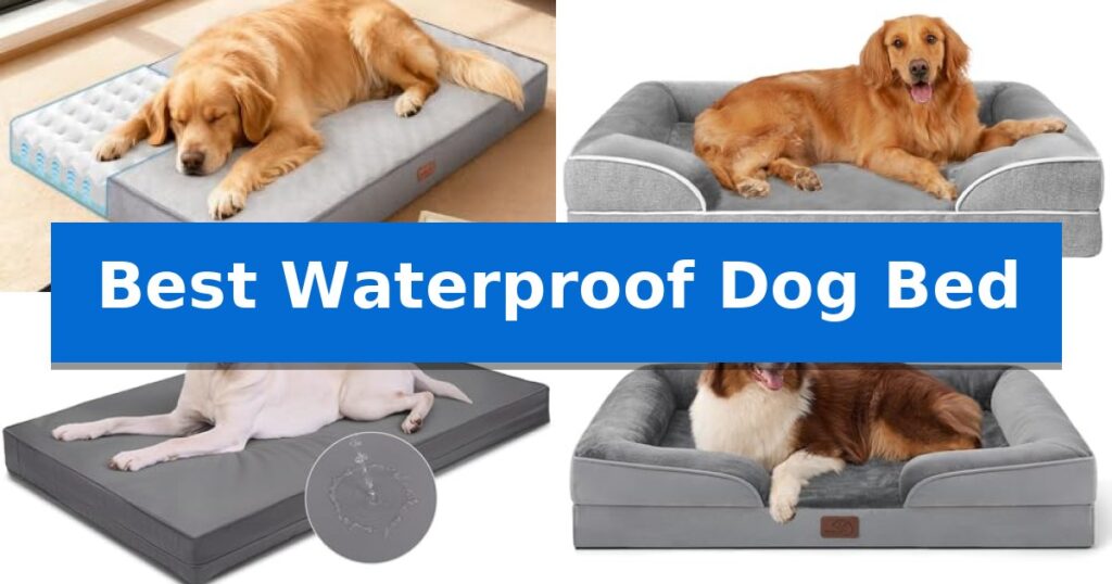 Best Waterproof Dog Bed