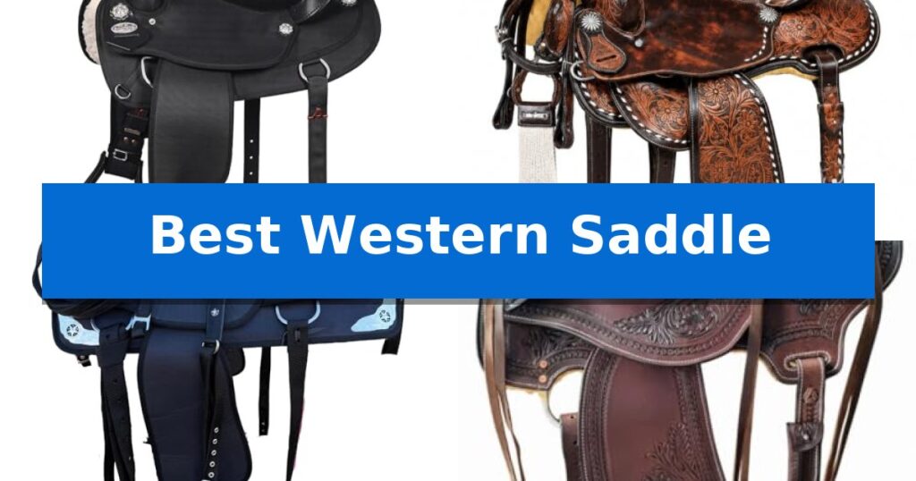 Best Western Saddle