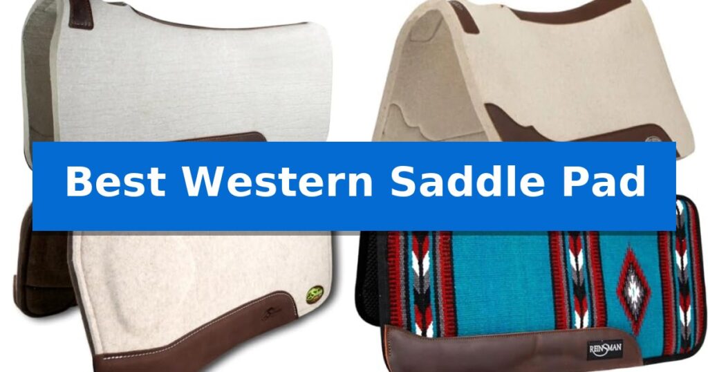 Best Western Saddle Pad