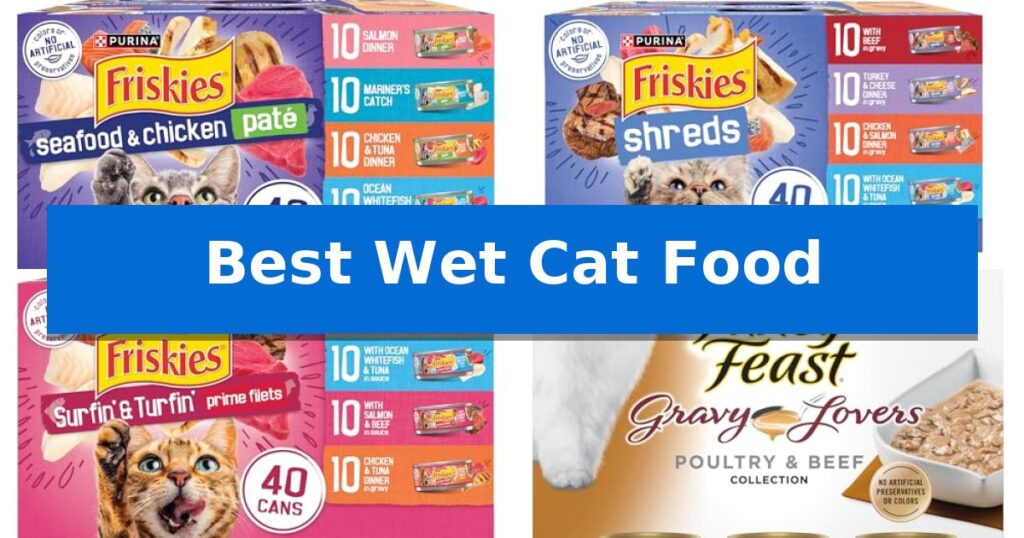 Best Wet Cat Food