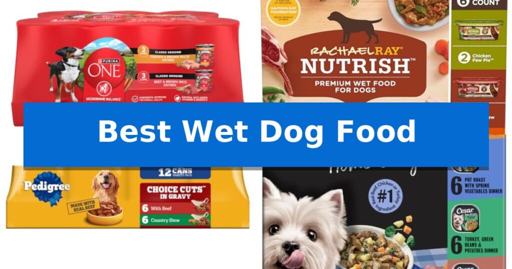 Best Wet Dog Food