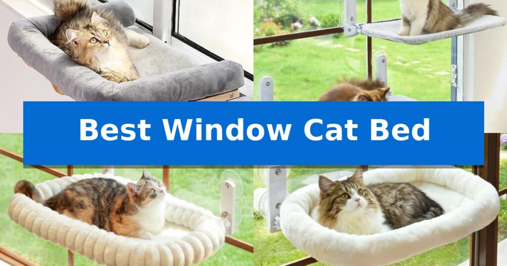 Best Window Cat Bed