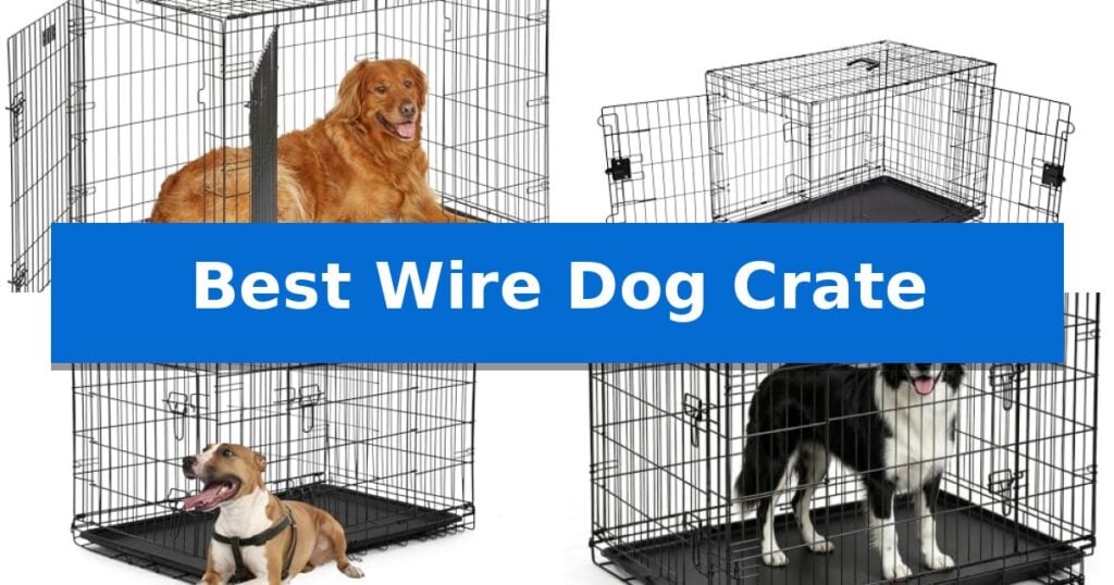 Best Wire Dog Crate