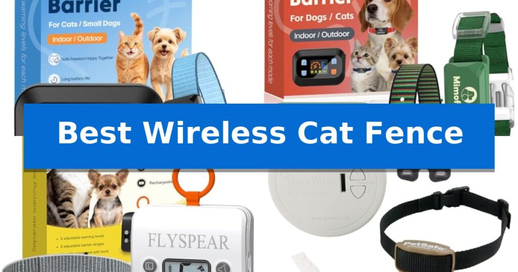Best Wireless Cat Fence