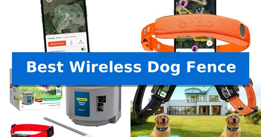 Best Wireless Dog Fence
