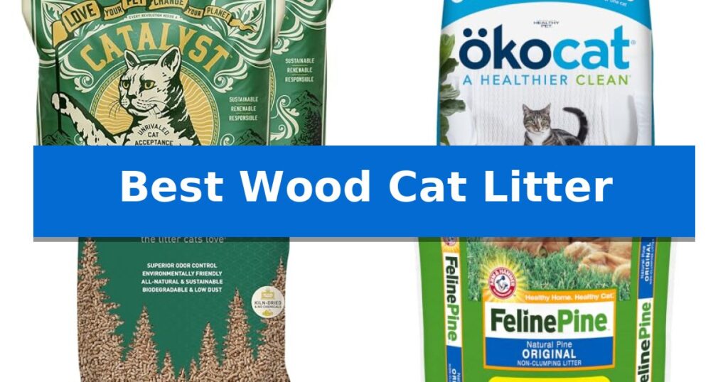 Best Wood Cat Litter
