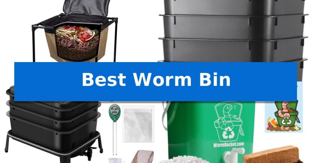 Best Worm Bin