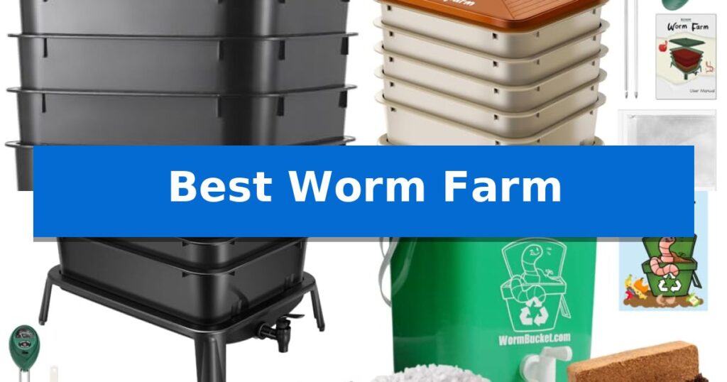 Best Worm Farm
